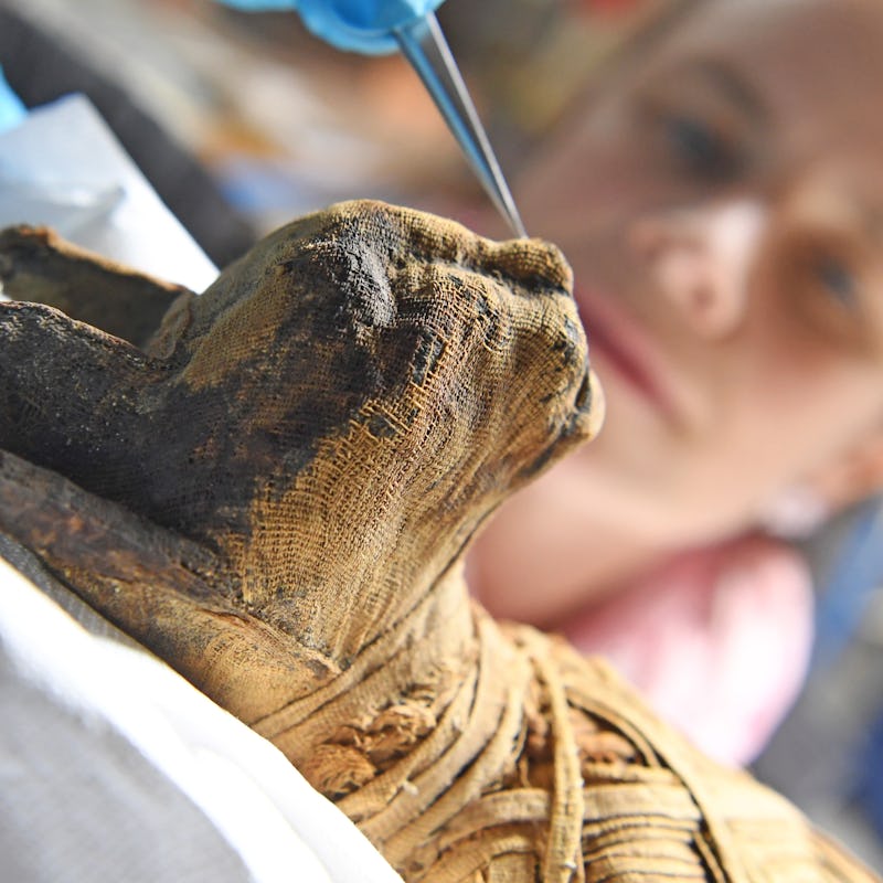 Agnes Krippendorf, a textile restorer at the Badischen Landesmuseum, works on a cat mummy dated back...