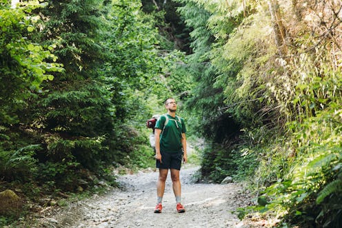 Man backpacker having the hiking trip in the mountain wilderness, walking through the green pine for...