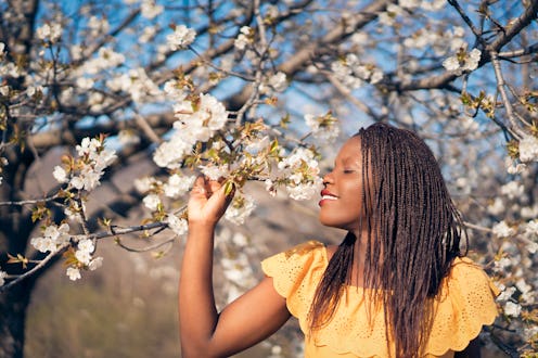 Portrait of a beautiful, young African woman enjoying the orchard in bloom, smelling the flowers.