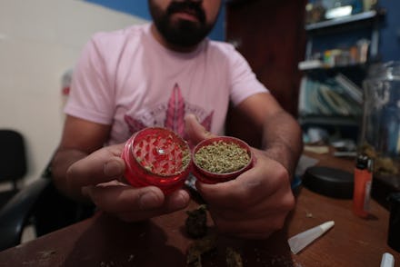 MEXICO CITY, MEXICO - MARCH 13: Detail as Cesar, 36, prepares marijuana joints for recreational use ...