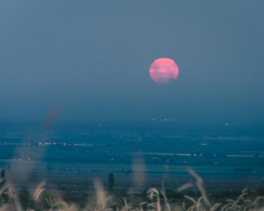 pink moon