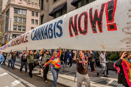 NEW YORK CITY, NEW YORK, UNITED STATES - 2017/05/06: The NYC Cannabis Parade happening on Saturday, ...
