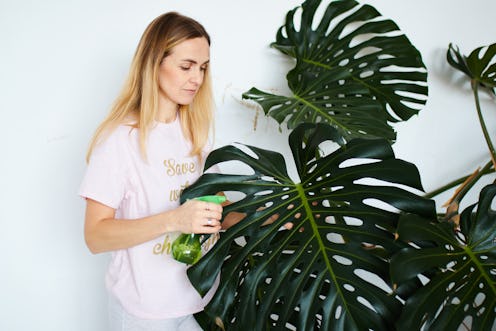 young female taking care of plants at home