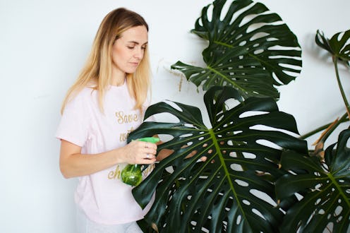 young female taking care of plants at home