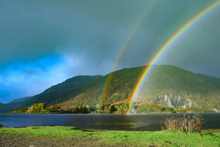 These St. Patrick's Day Zoom backgrounds guarantee a festive virtual celebration.