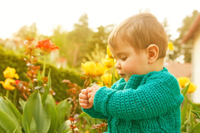 Little baby girl playing with flowers in the garden (yellow tulips)