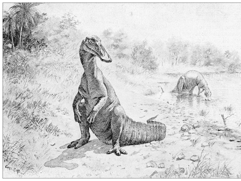 Antique illustration: Dinosaurs, Hadrosaurid