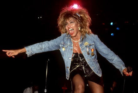 DETROIT - AUGUST 28: American-Swiss singer and actress, Tina Turner performs at the Joe Louis Arena...