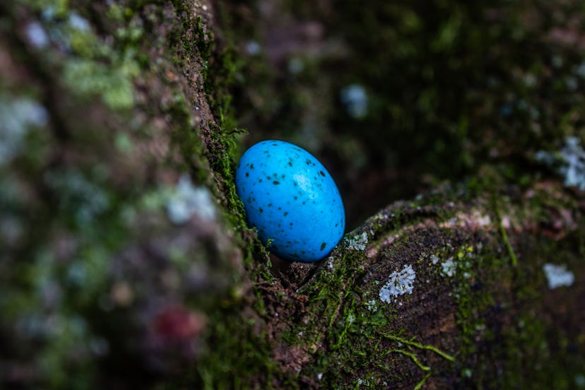 Easter egg hunt for adults