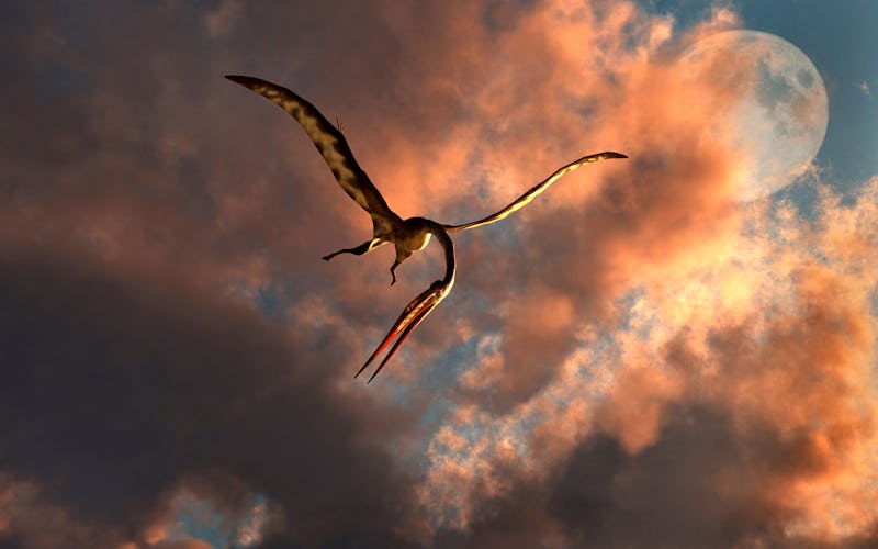 A large Quetzalcoatlus flying in the cloudy sky during the Cretaceous period.