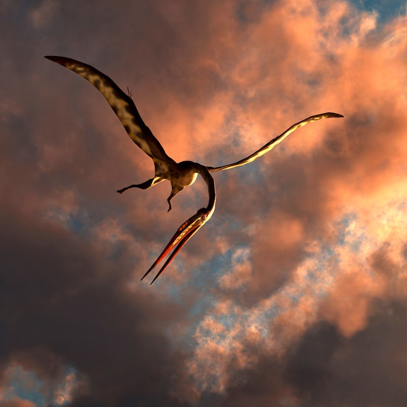 A large Quetzalcoatlus flying in the cloudy sky during the Cretaceous period.