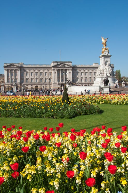 Buckingham palace in the Spring time London England. (Photo by: Education Images/Universal Images Gr...