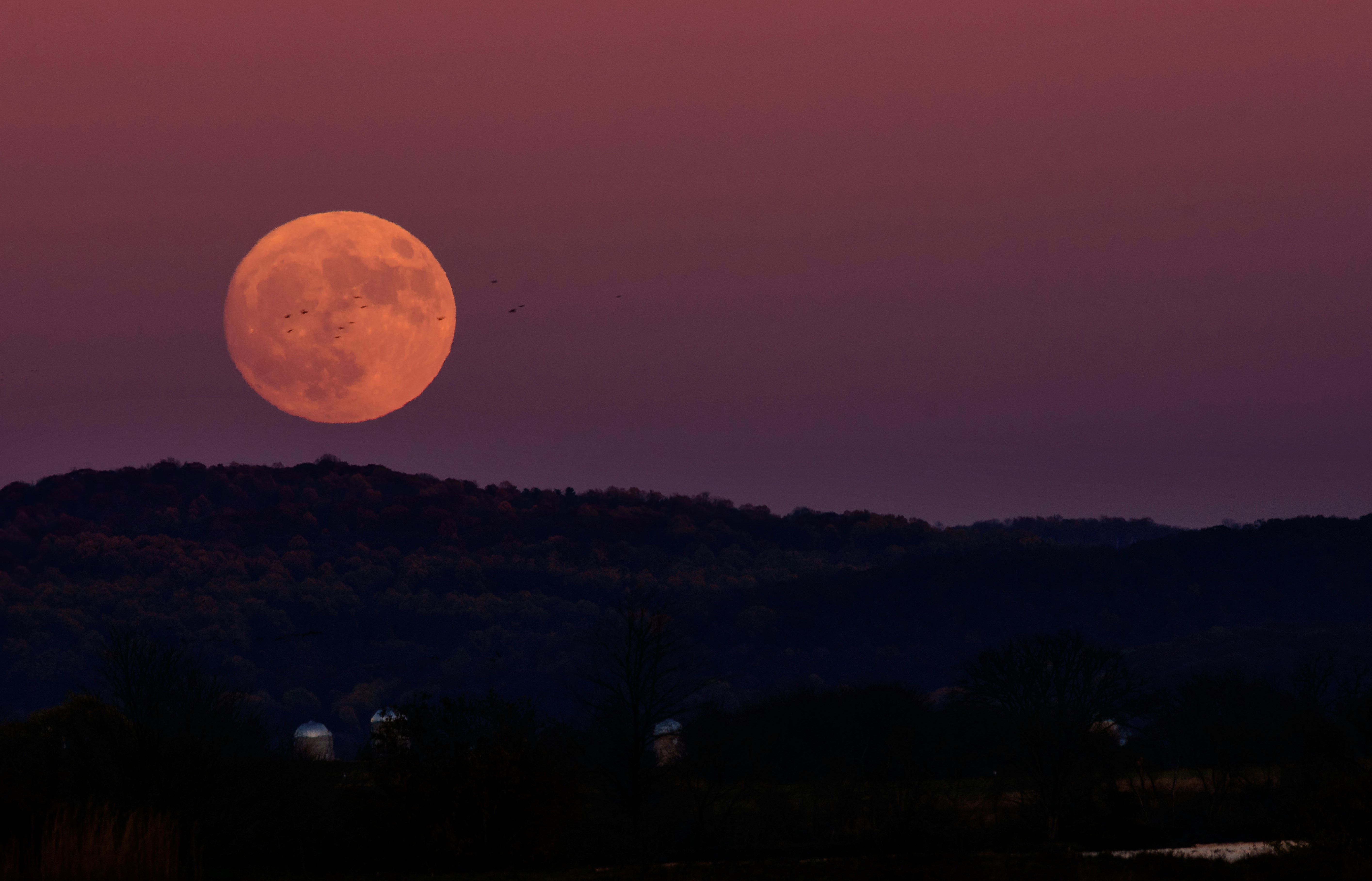 What Time to See the Pink Moon Tonight, the First Supermoon of 2021