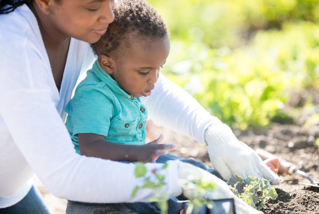 An adorable little boy around 18 months old is spending time with his mother at a garden. His mother...