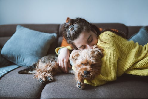 A shot of a young woman hugging lovely her little dog while lying down on the sofa in her living roo...