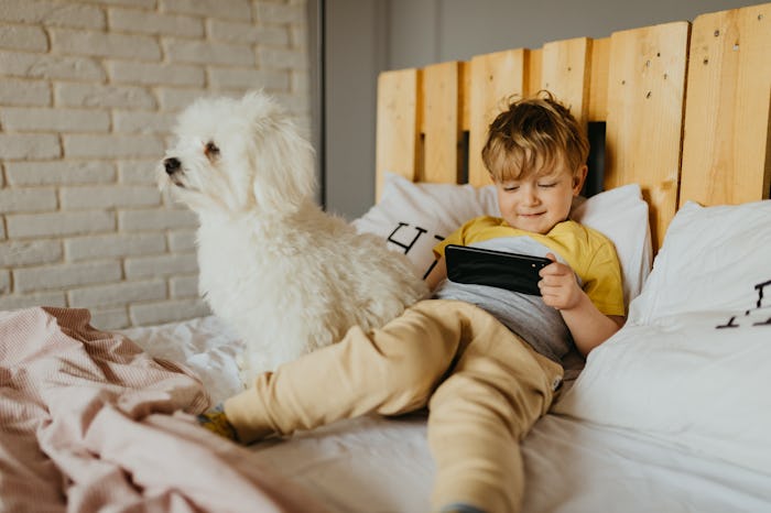 little boy use his phone and play with his dog in the bed