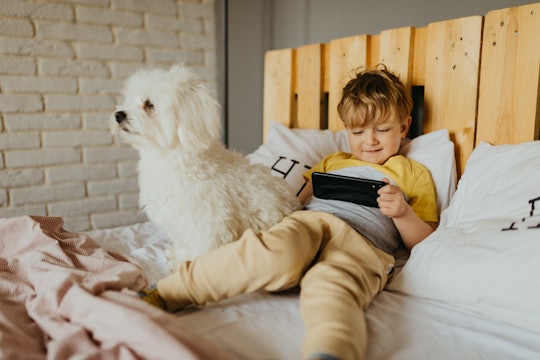 little boy use his phone and play with his dog in the bed