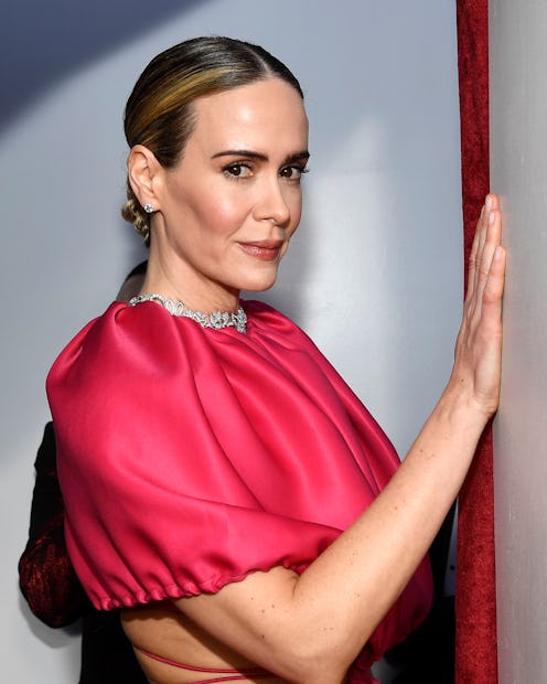 HOLLYWOOD, CALIFORNIA - FEBRUARY 24: Sarah Paulson attends the 91st Annual Academy Awards at Hollywo...