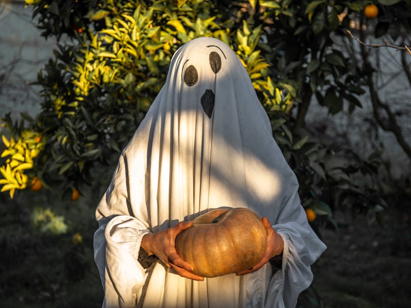 A portrait of a 40 year old woman dressed as a ghost in a white sheet standing outside in the garden...