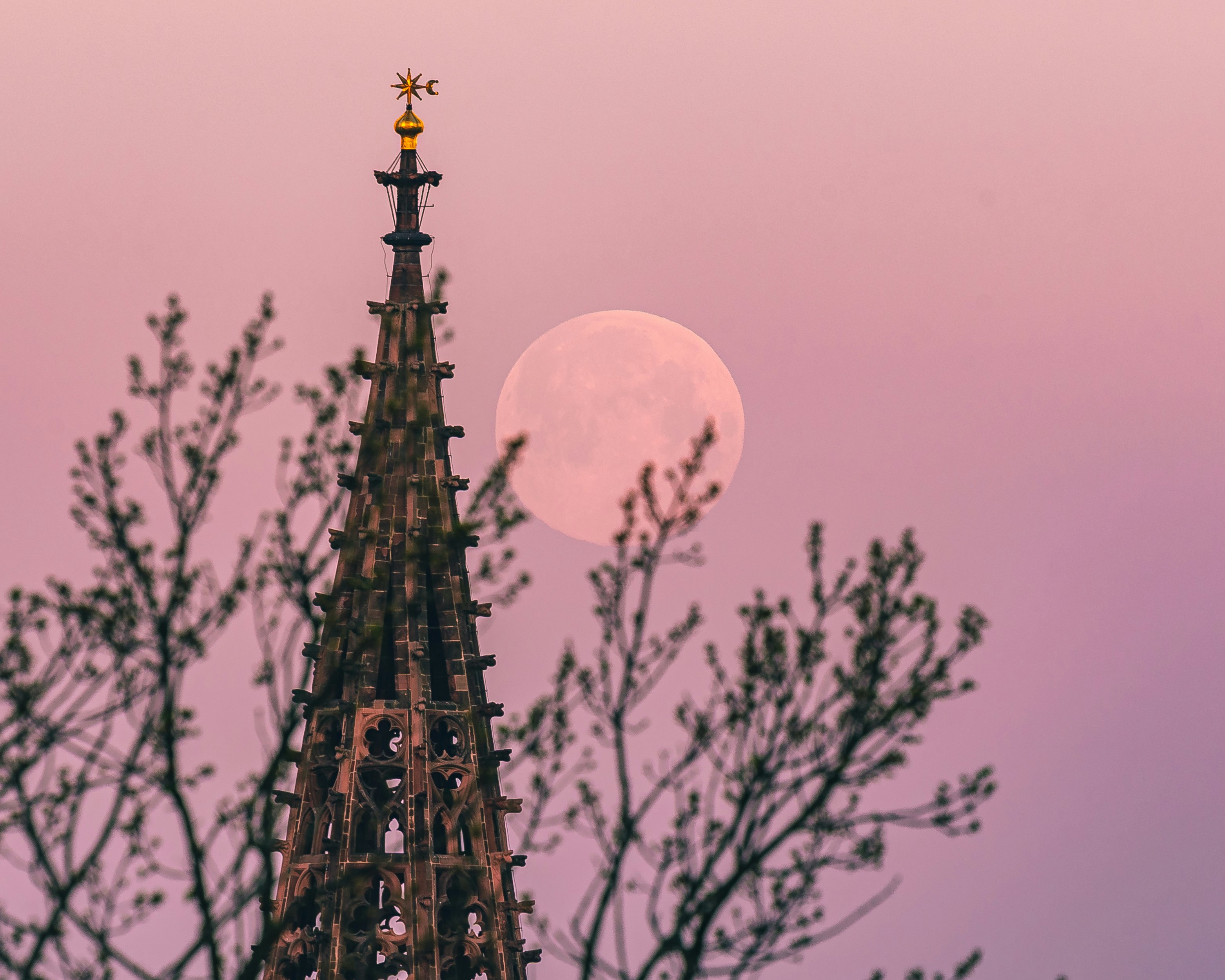 The Spiritual Meaning Of The 2023 Pink Moon Will Brighten Your World