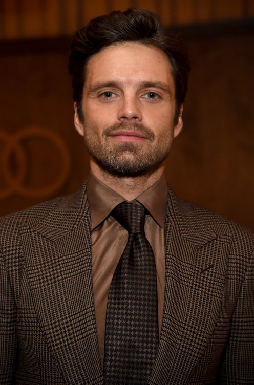 LOS ANGELES, CA - NOVEMBER 13:  Sebastian Stan attends the special dinner with Nicole Kidman celebra...