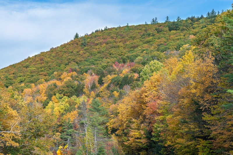 Beautiful fall landscpes in full peak colrs in New England states of US. Fall foliage colors in full...