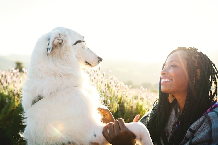A happy woman looks at her dog in a lavender field