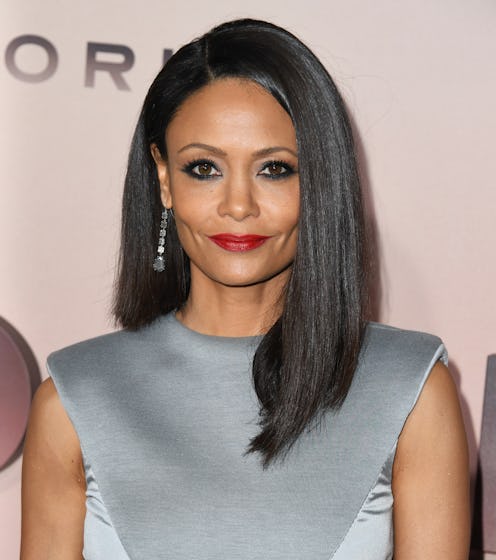 HOLLYWOOD, CALIFORNIA - MARCH 05: Thandie Newton attends the premiere of HBO's "Westworld" Season 3...