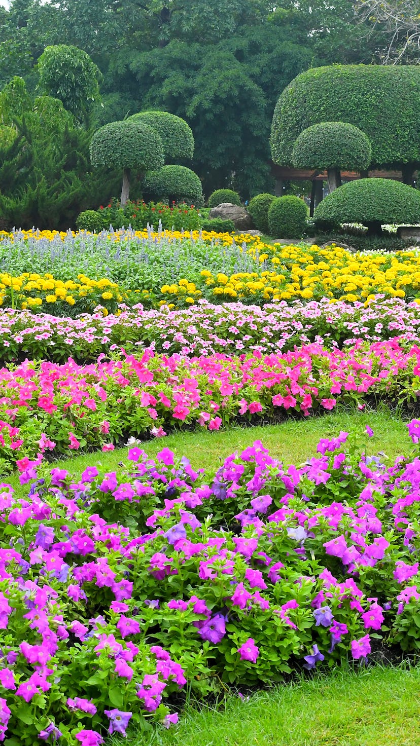 Beautiful flower gardens where flowers are grown and displayed in the  publish park, Garden design