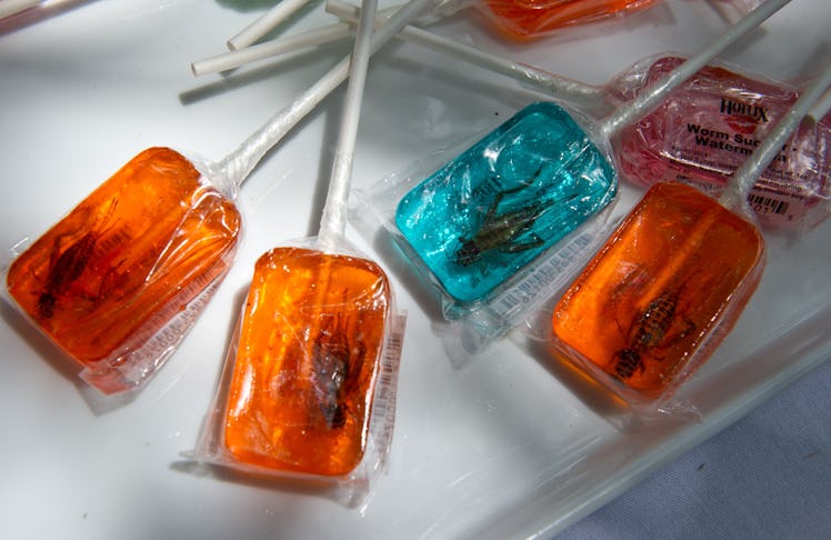 Worm and cricket lollipops are displayed June 4, 2014 during a global Pestaurant event sponsored by ...