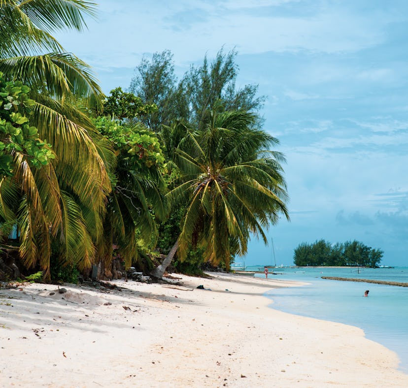 You can win a year's worth of student loan payments from CheapTickets to spend it on travel.