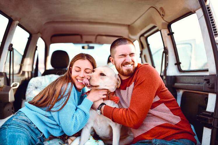 Dog Parents Enjoying Spending Road Trip With Their Pooch