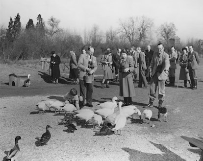 Queen Elizabeth II visits the grounds of the Severn Wildfowl Trust (WWT Slimbridge Wetland Centre) a...