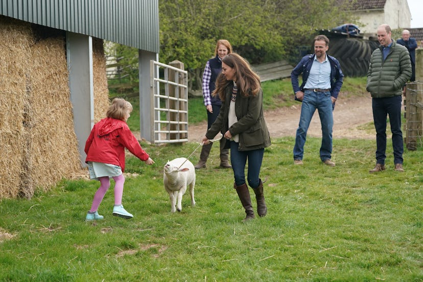 Kate Middleton walking a lamb.
