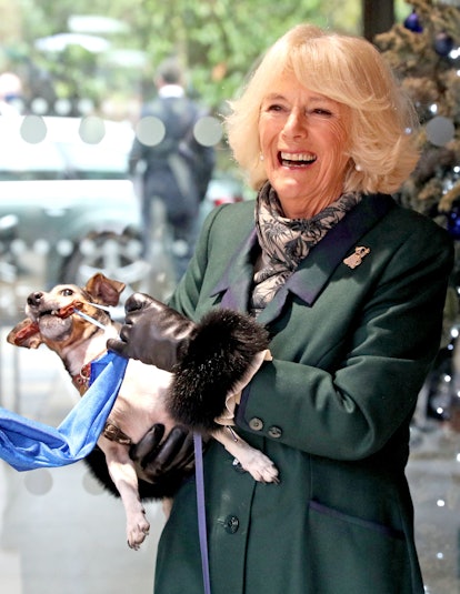 Camilla Parker Bowles with her rescue dog Beth.