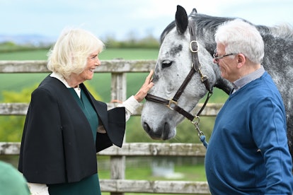 Camilla Parker Bowles pets a horse.