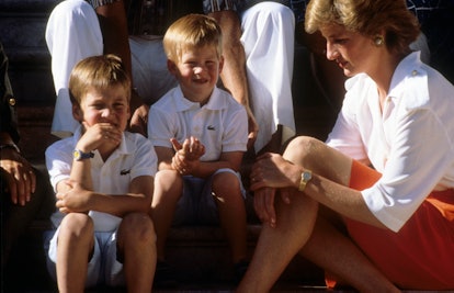 Prince William and Prince Harry sit on steps with their mother, Diana, Princess of Wales, during a h...