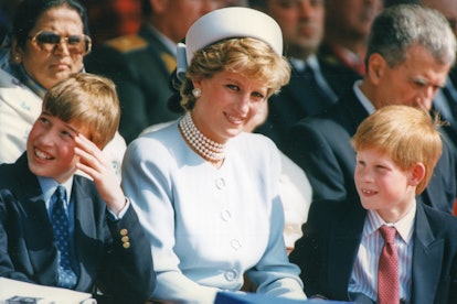 Princess Diana and her sons in 1995.