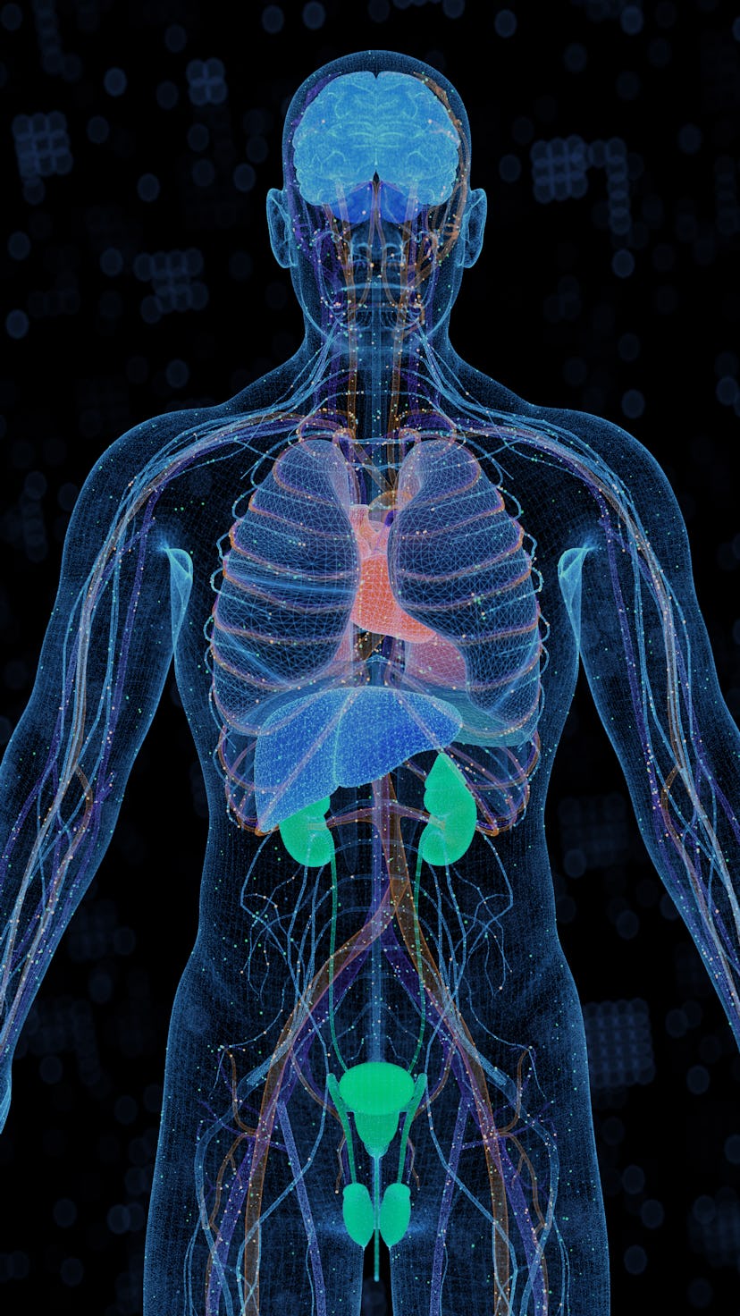 計算機生成的醫學概念