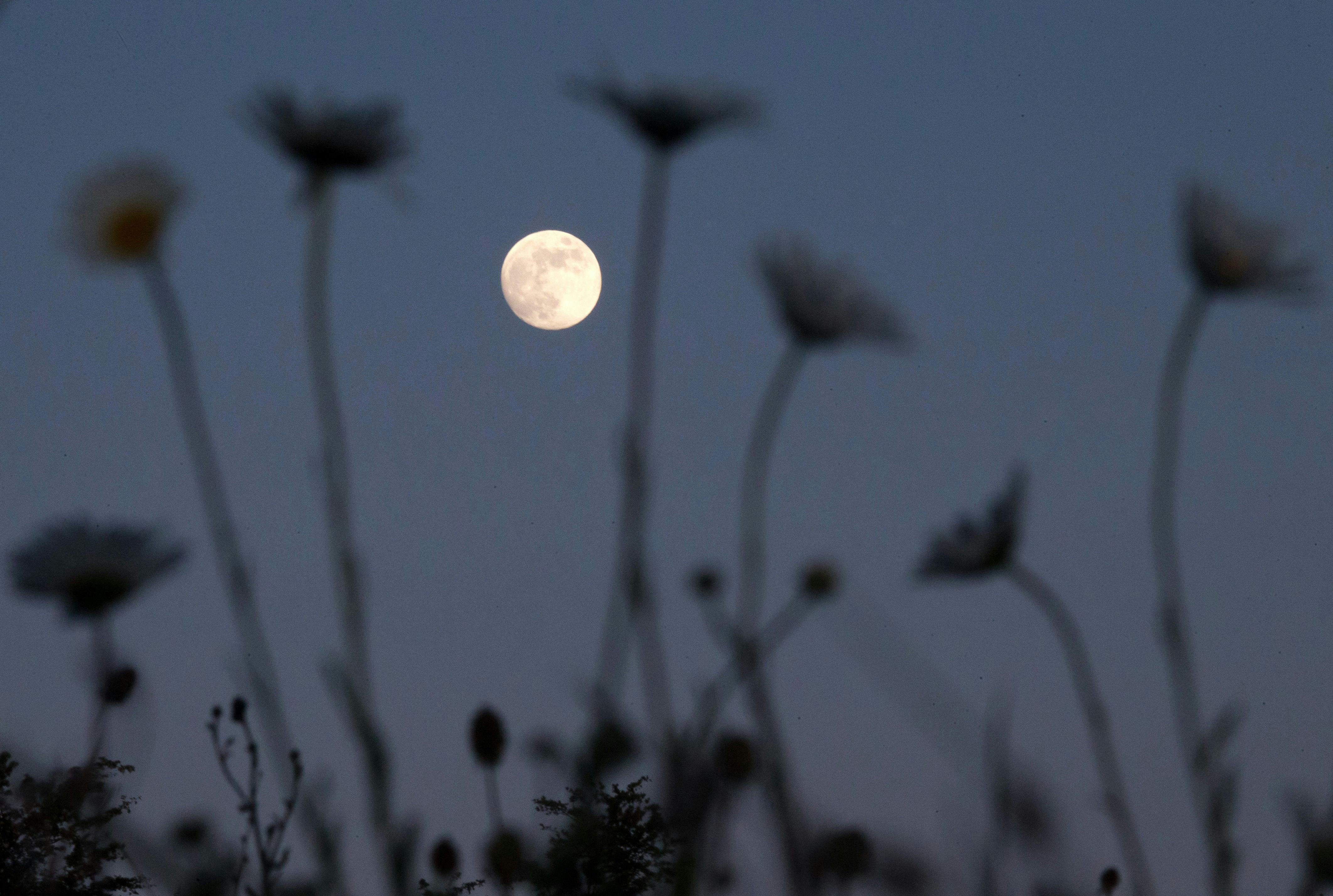 full moon may 2021