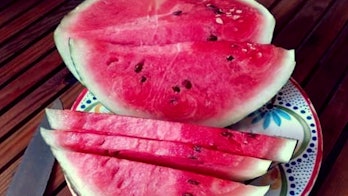 Slice of watermelon in a plate.