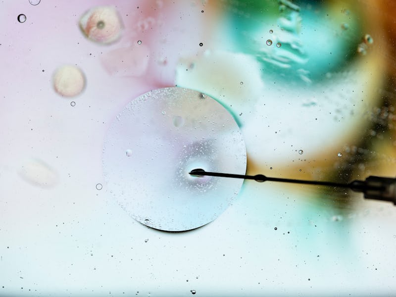 cell study and laboratory experimentation. injecting cell with needle through microscope.