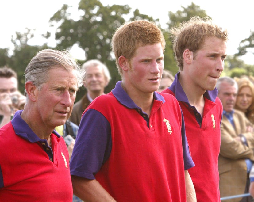 Prince Charles wearing matching polo outfits with his sons.