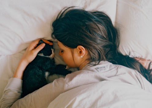 Here's what dreams about cats mean, according to experts.
