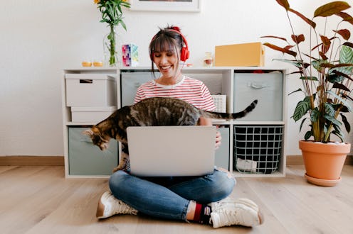 Woman working at home with cat walking across her laptop