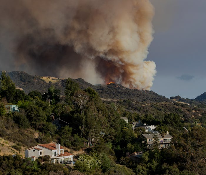 LOS ANGELES, CA - MAY 15, 2021: The Palisades wildfire burns out of control in rugged terrain near h...