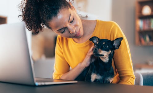 13 surprising signs that your dog is sick, according to veterinarians.