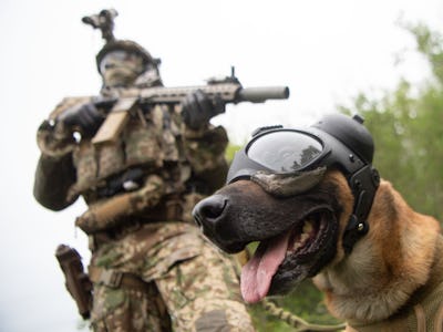 10 May 2021, Baden-Wuerttemberg, Calw: A commando soldier of the German Armed Forces Special Forces ...