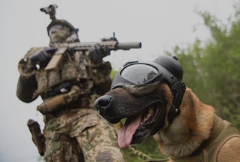 10 May 2021, Baden-Wuerttemberg, Calw: A commando soldier of the German Armed Forces Special Forces ...