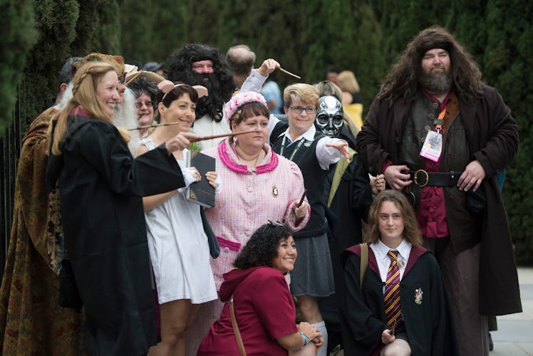 SAN DIEGO, CA - JULY 20: A Harry Potter and Fantastic Beasts cosplay meet-up at Children's Park in d...